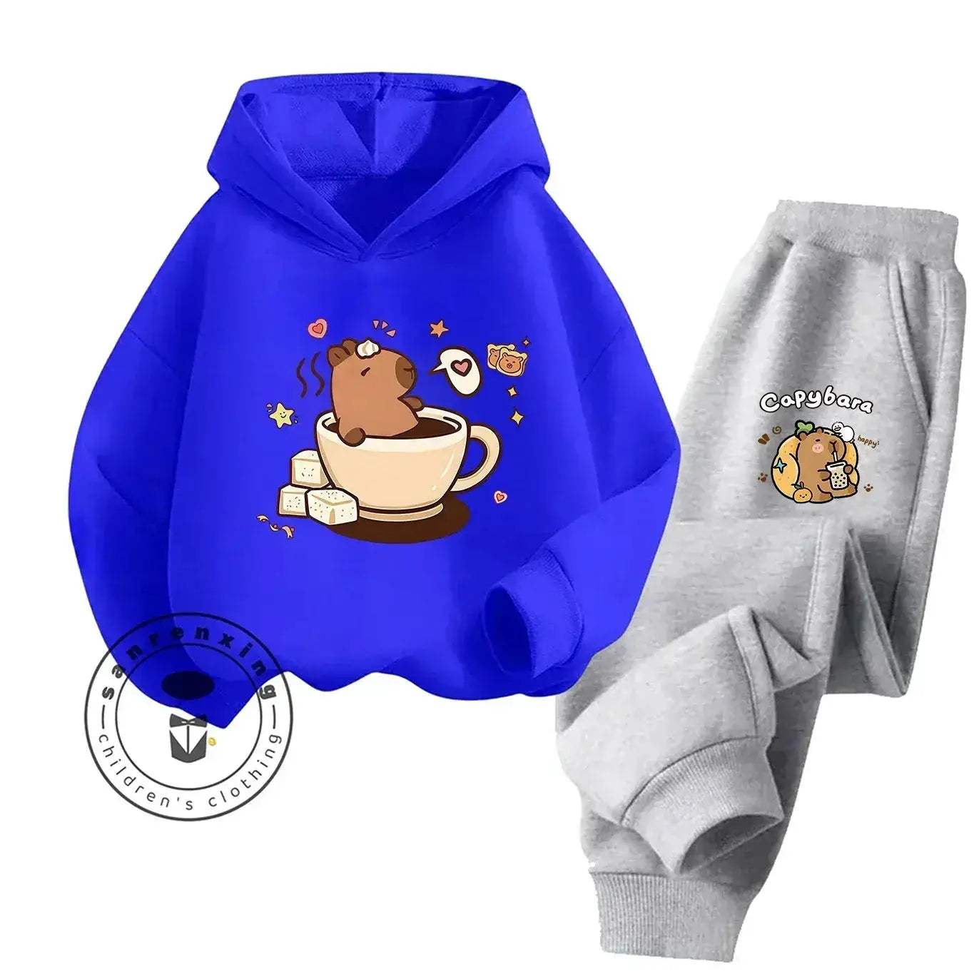 2D Capybara Hoodie Set 2025 New Print Cartoon Fashion Casual Kids Teens Boys Girls Hot Sale Autumn Winter - Image 4