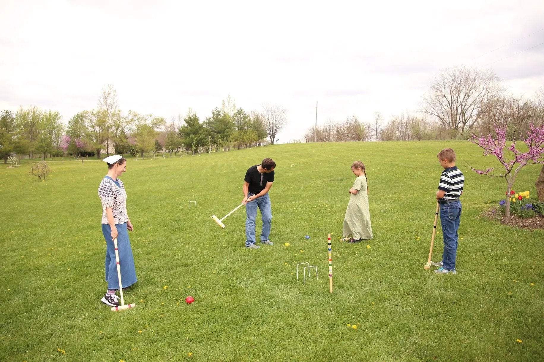 Deluxe 8-Player Croquet Game Set, Wooden Holder or Duffel Carry Bag - Image 10