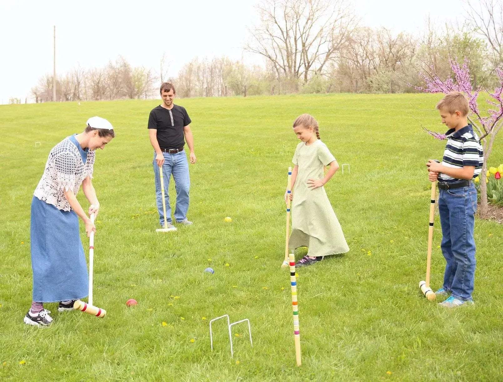 Deluxe 8-Player Croquet Game Set, Wooden Holder or Duffel Carry Bag - Image 4