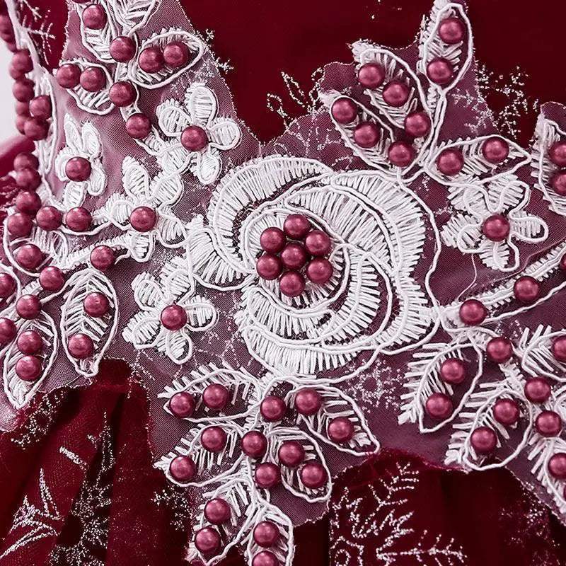 Elegant Baby Girl Dress Beaded Lace Birthday Party For 0 To 5 Years - Image 4