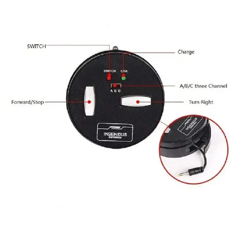 Infrared RC Beetle Toy For Pets With Realistic Crawling - Image 6