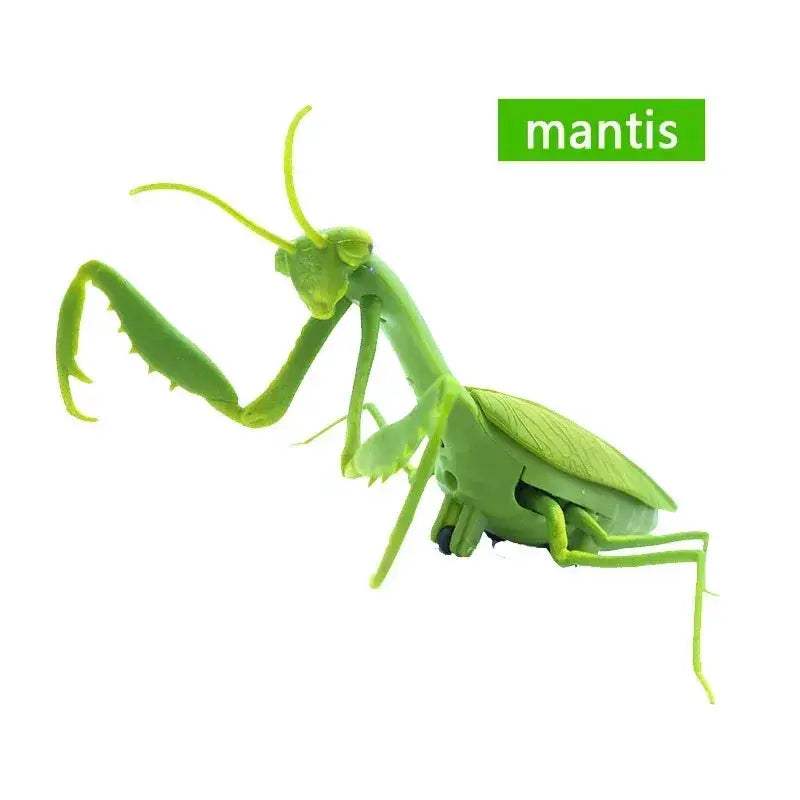 Infrared Remote Control Insect Toys Prank Set For Kids - Image 6