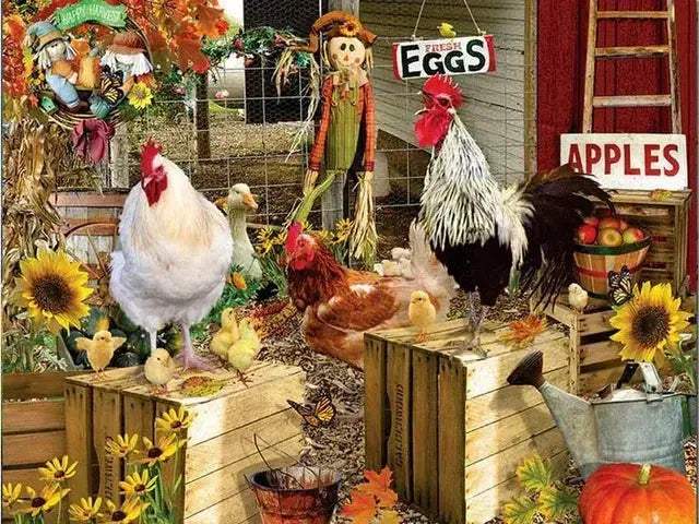 Meian Chicken DIY Cross Stitch Kit 11CT Printed Canvas Embroidery - Image 9