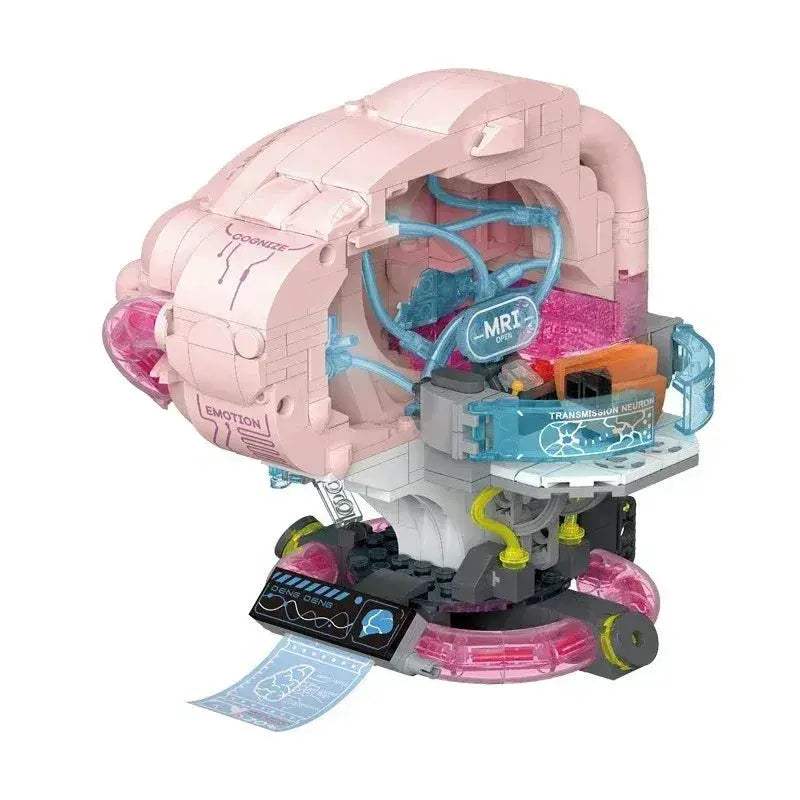 MOC Anatomy Building Blocks Set For Hands On Medical Education - Image 5