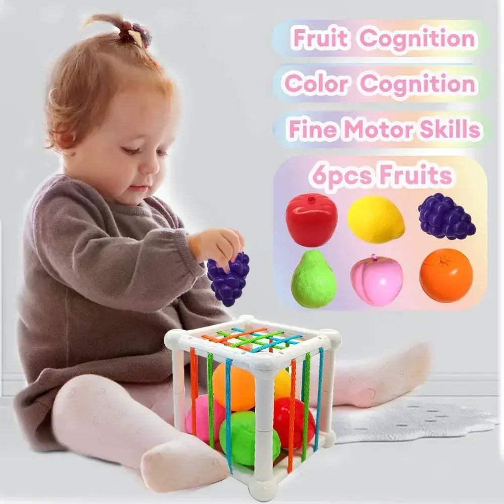 Montessori Baby Toys 18 Months Multisensory Fruit Shapes - Image 3