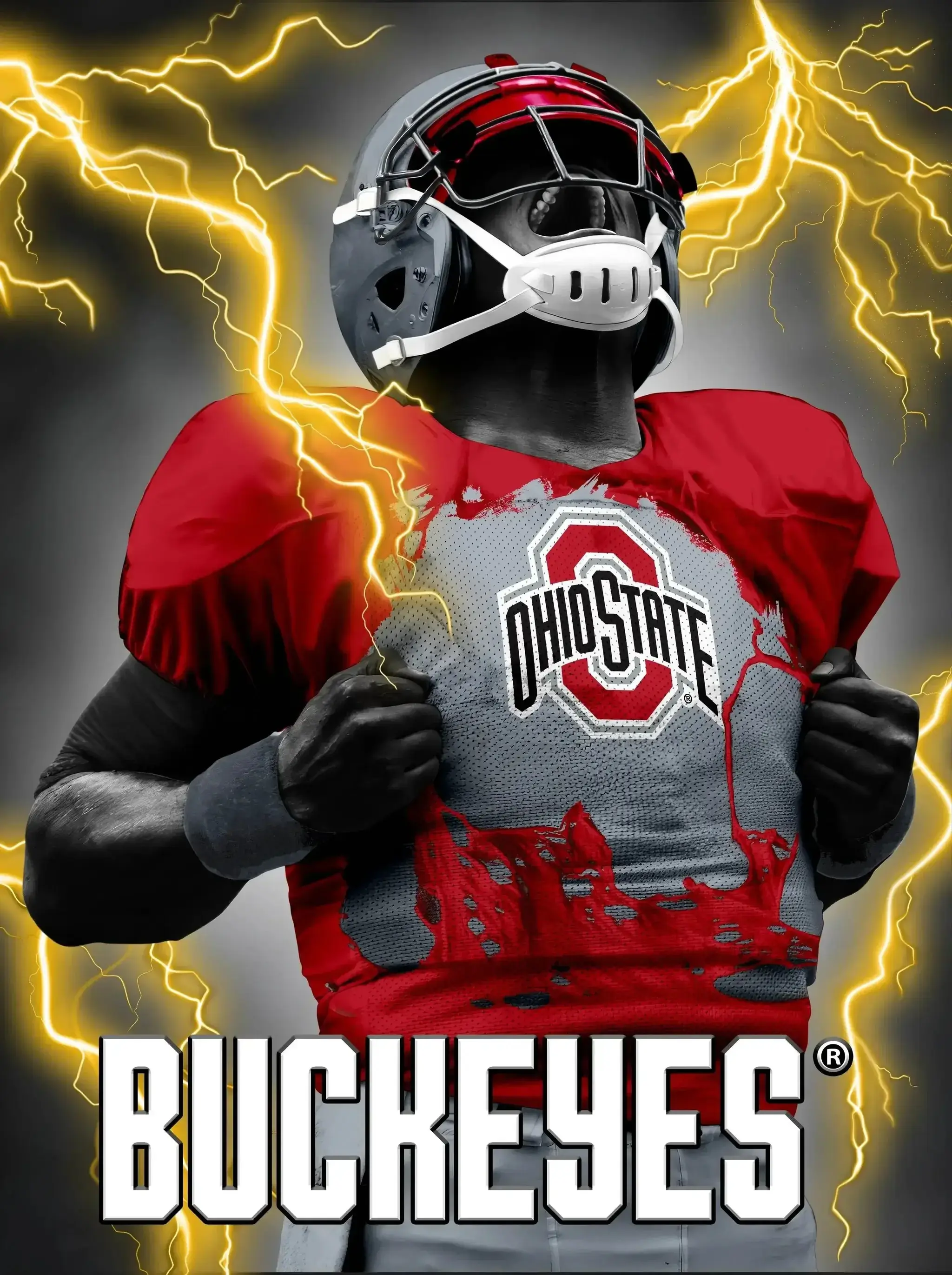 Ohio State Buckeyes 3D Art Print Lenticular 12x16 Premium
