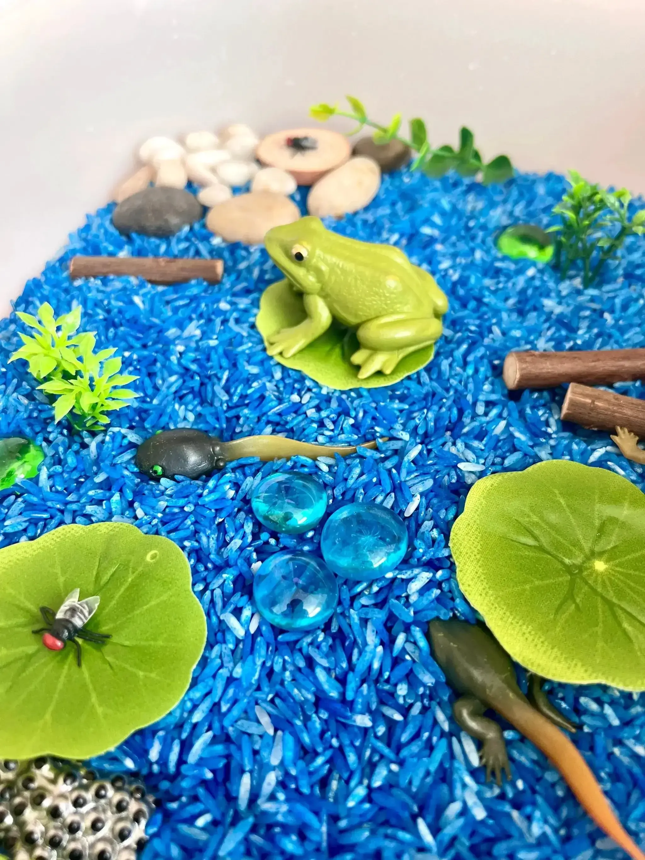 Pond Life Cycle Sensory Kit And Water Play - Image 2