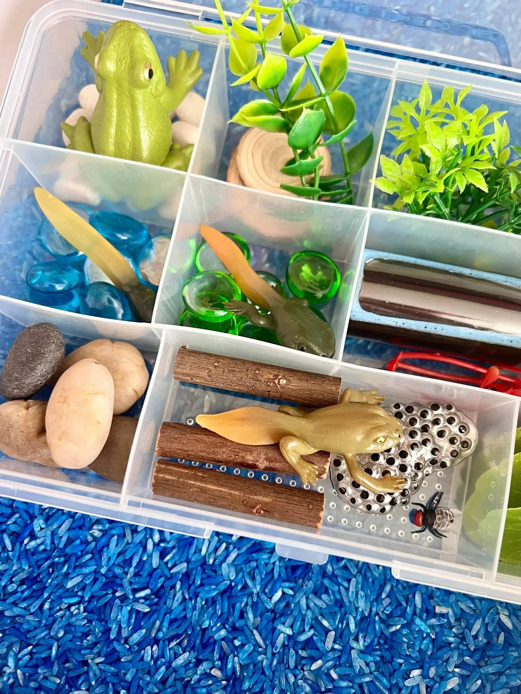 Pond Life Cycle Sensory Kit And Water Play - Image 3