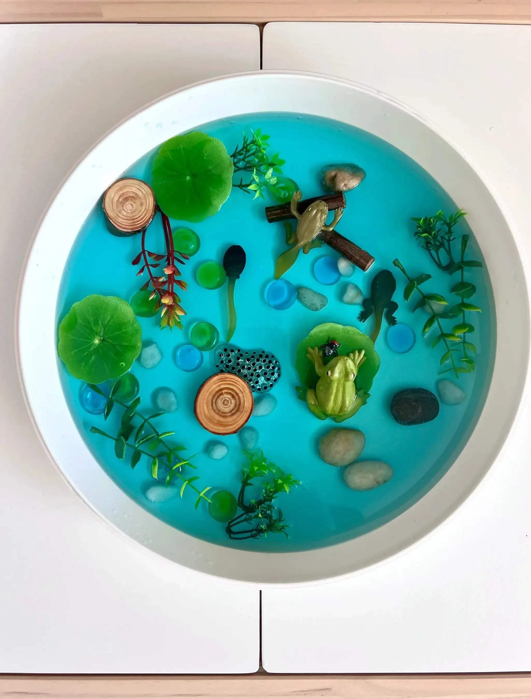 Pond Life Cycle Sensory Kit And Water Play - Image 4