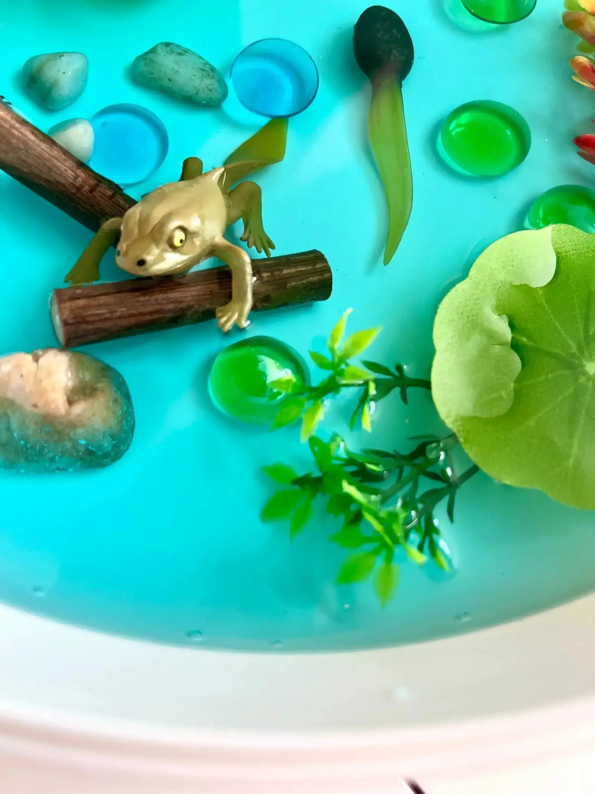 Pond Life Cycle Sensory Kit And Water Play - Image 7