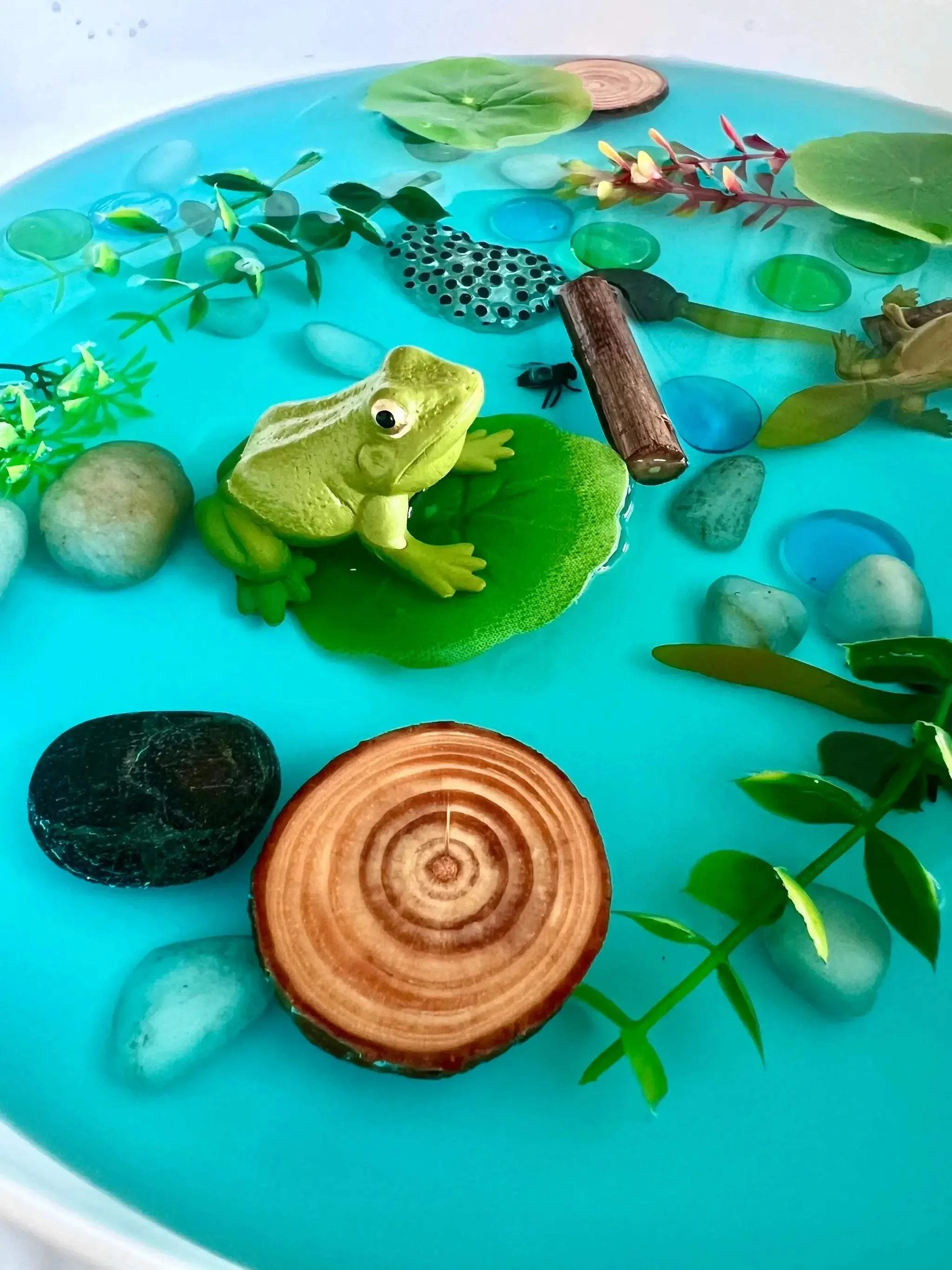 Pond Life Cycle Sensory Kit And Water Play - Image 8