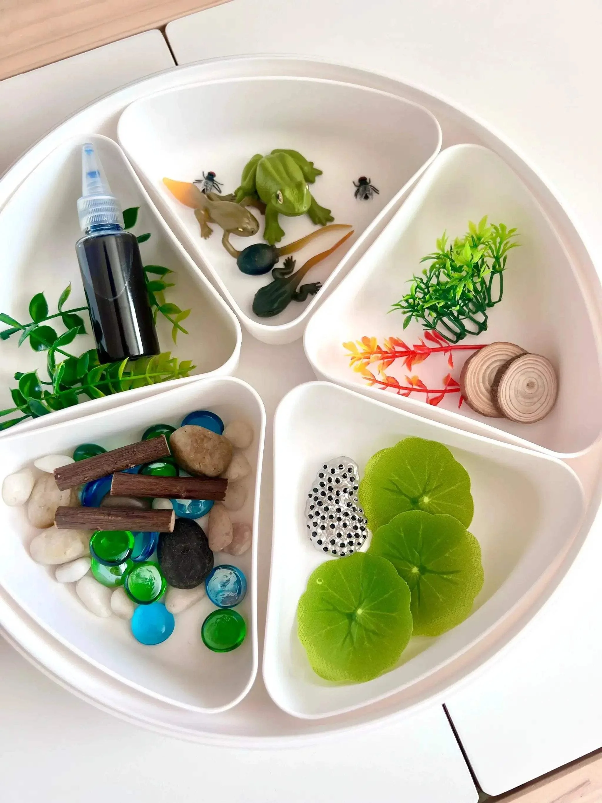 Pond Life Cycle Sensory Kit And Water Play - Image 9
