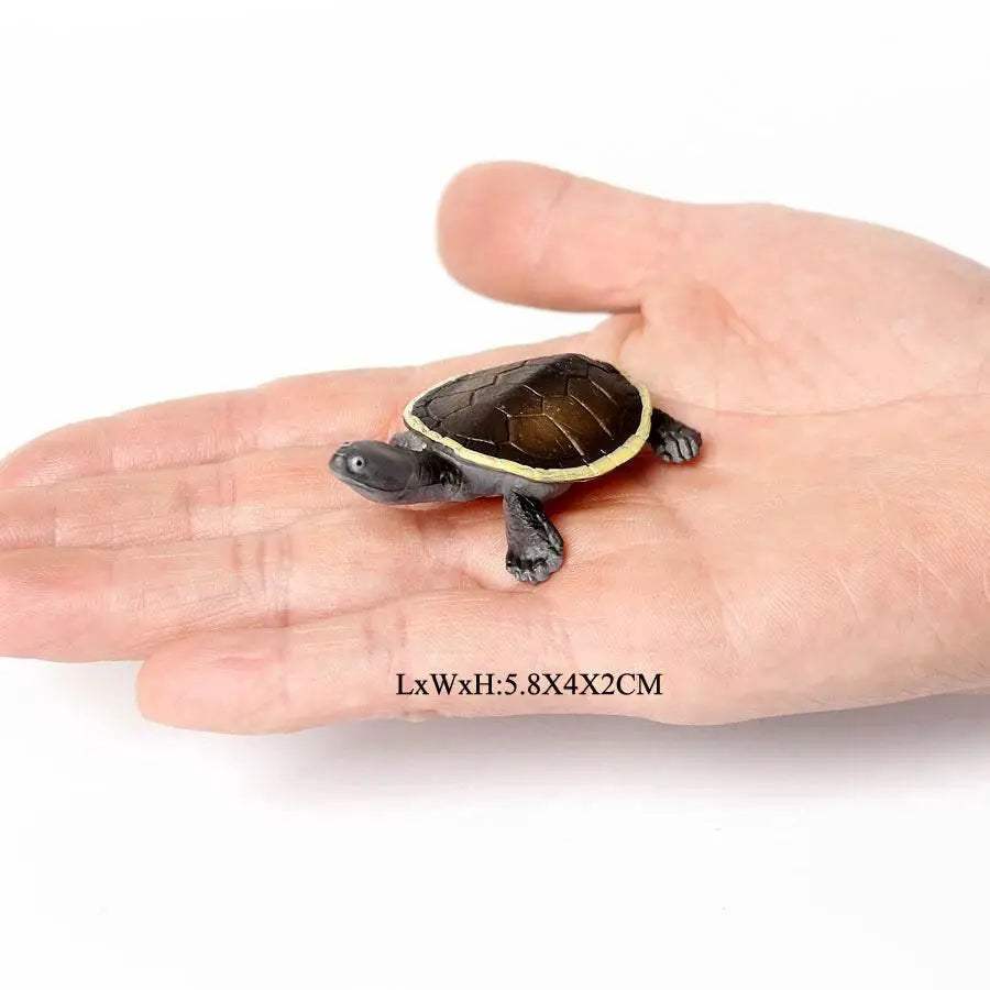 Realistic Sea Turtle Figurines Lifelike Detail Party Decor - Image 15