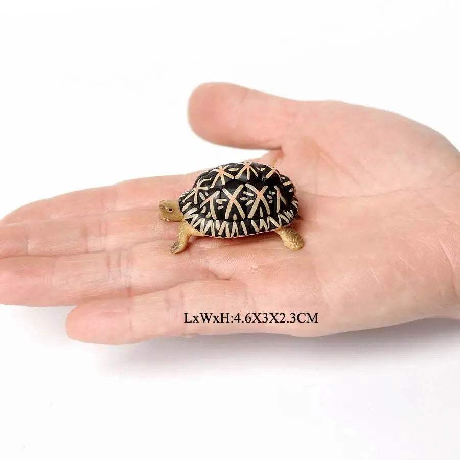 Realistic Sea Turtle Figurines Lifelike Detail Party Decor - Image 21