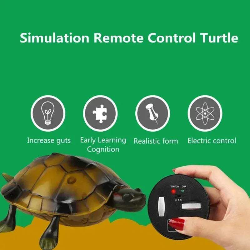 Remote Control Turtle RC Toy With Eye Lights For Learning