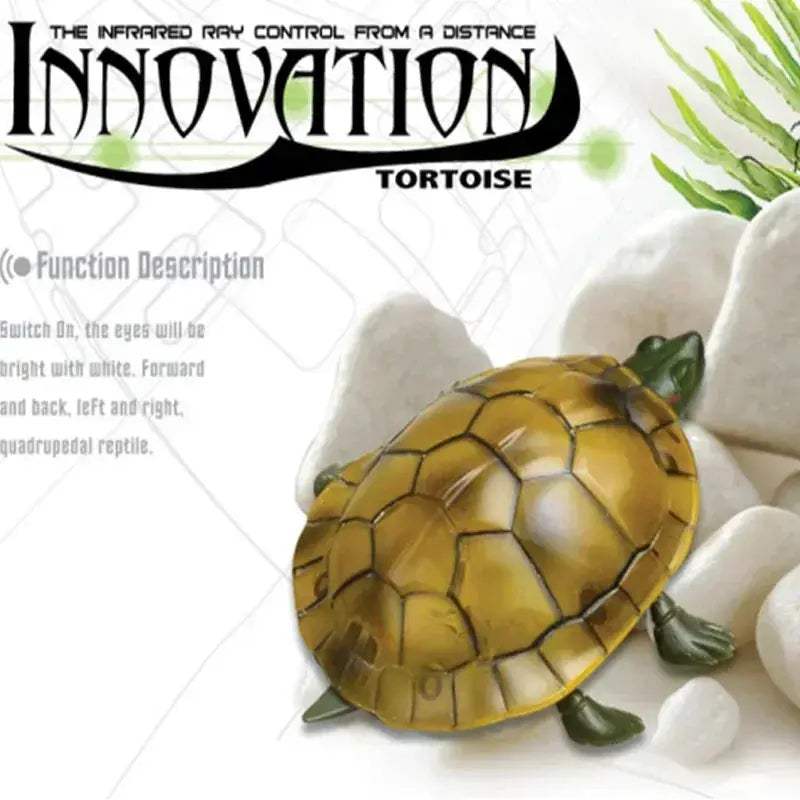 Remote Control Turtle RC Toy With Eye Lights For Learning - Image 2