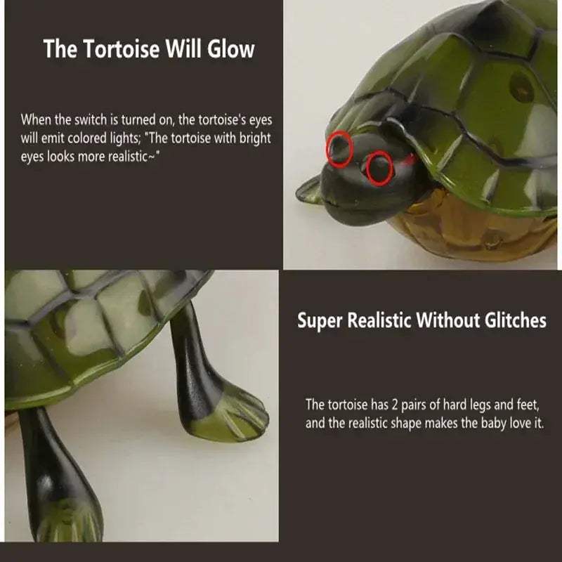 Remote Control Turtle RC Toy With Eye Lights For Learning - Image 3