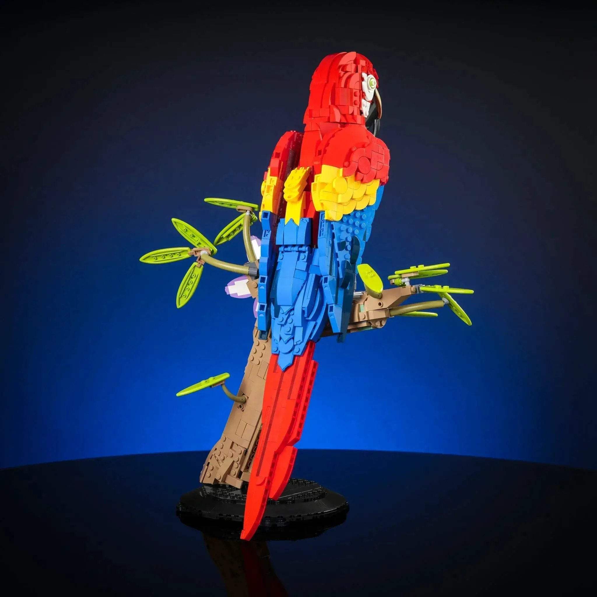 Scarlet Macaw - Image 10