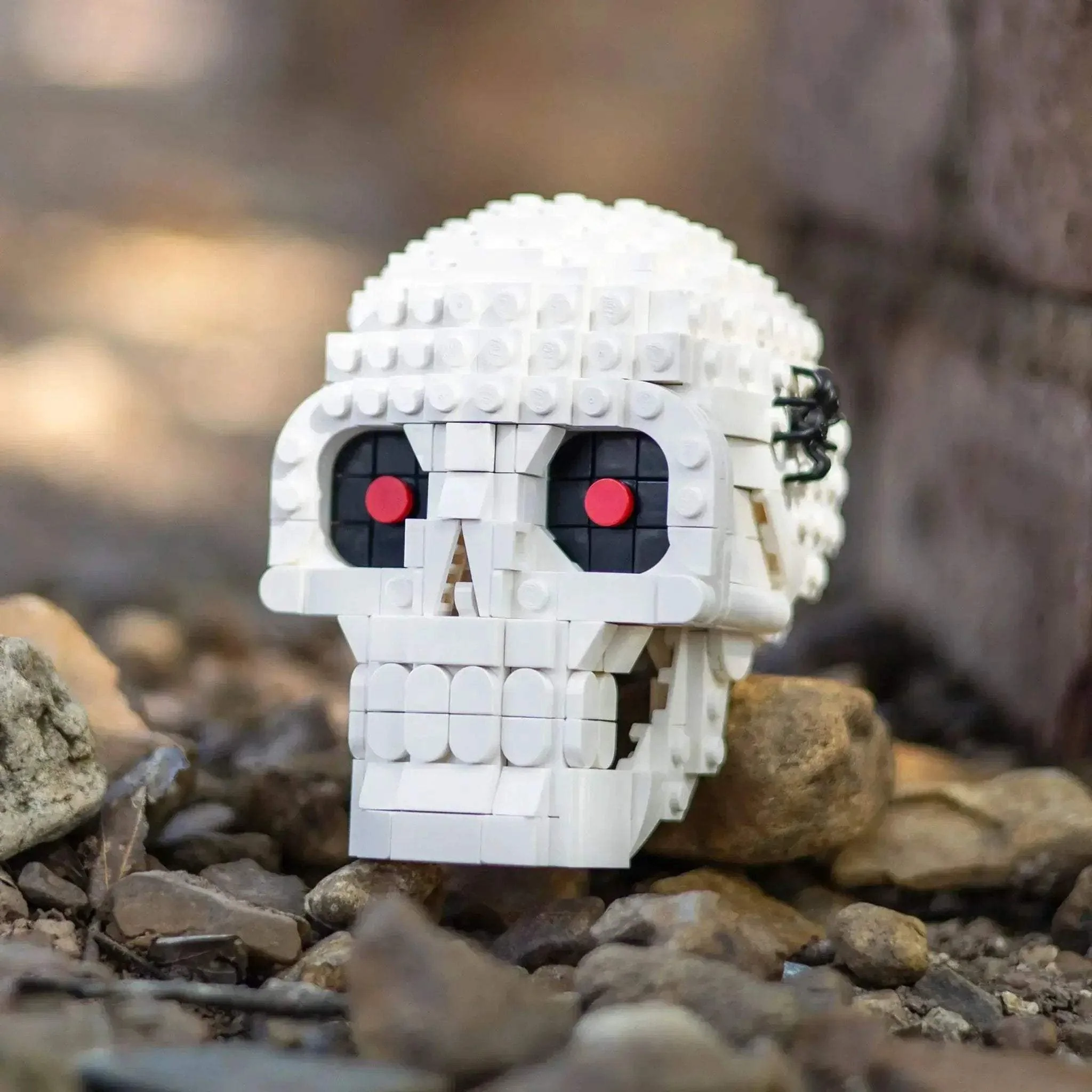 Skull - Image 2