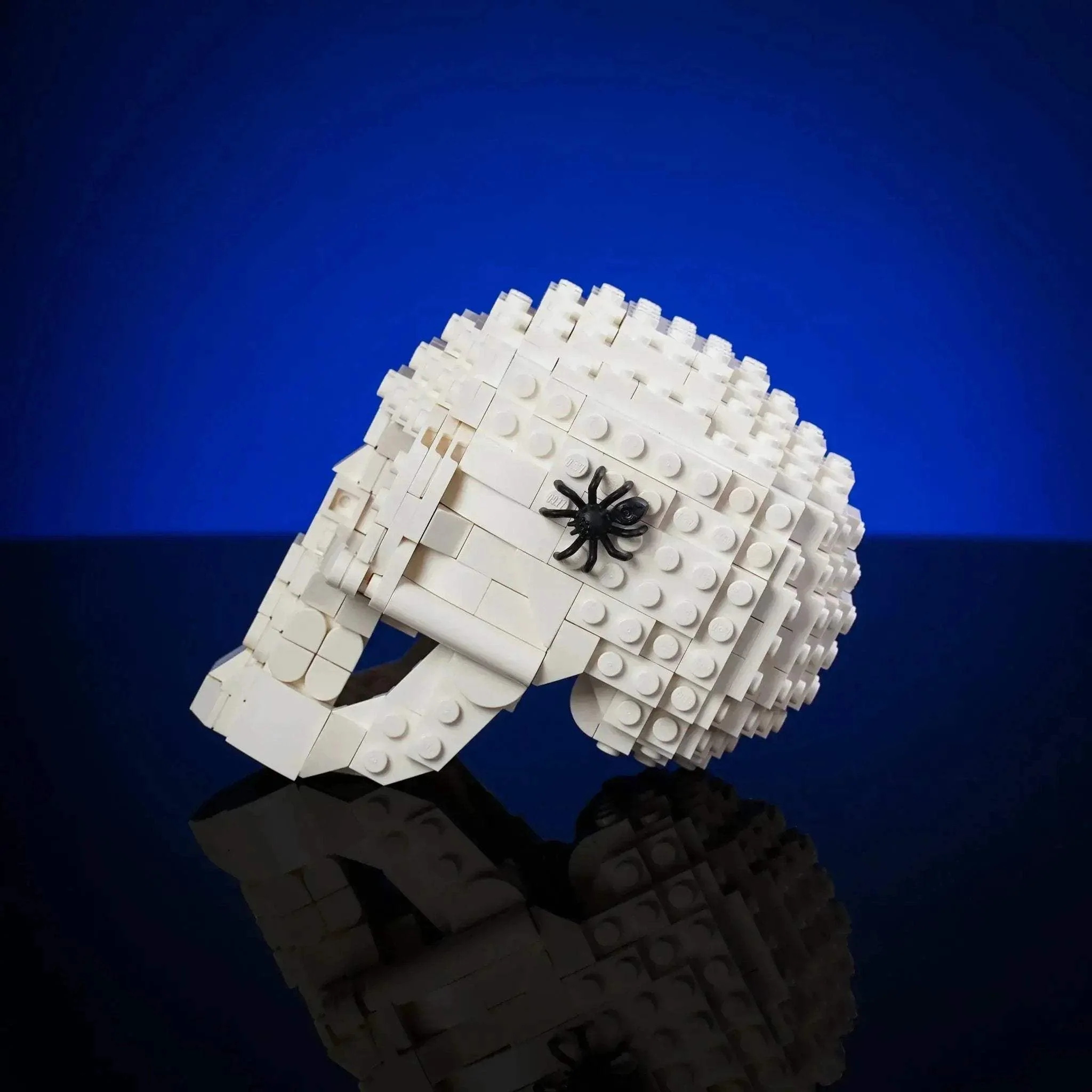 Skull - Image 5